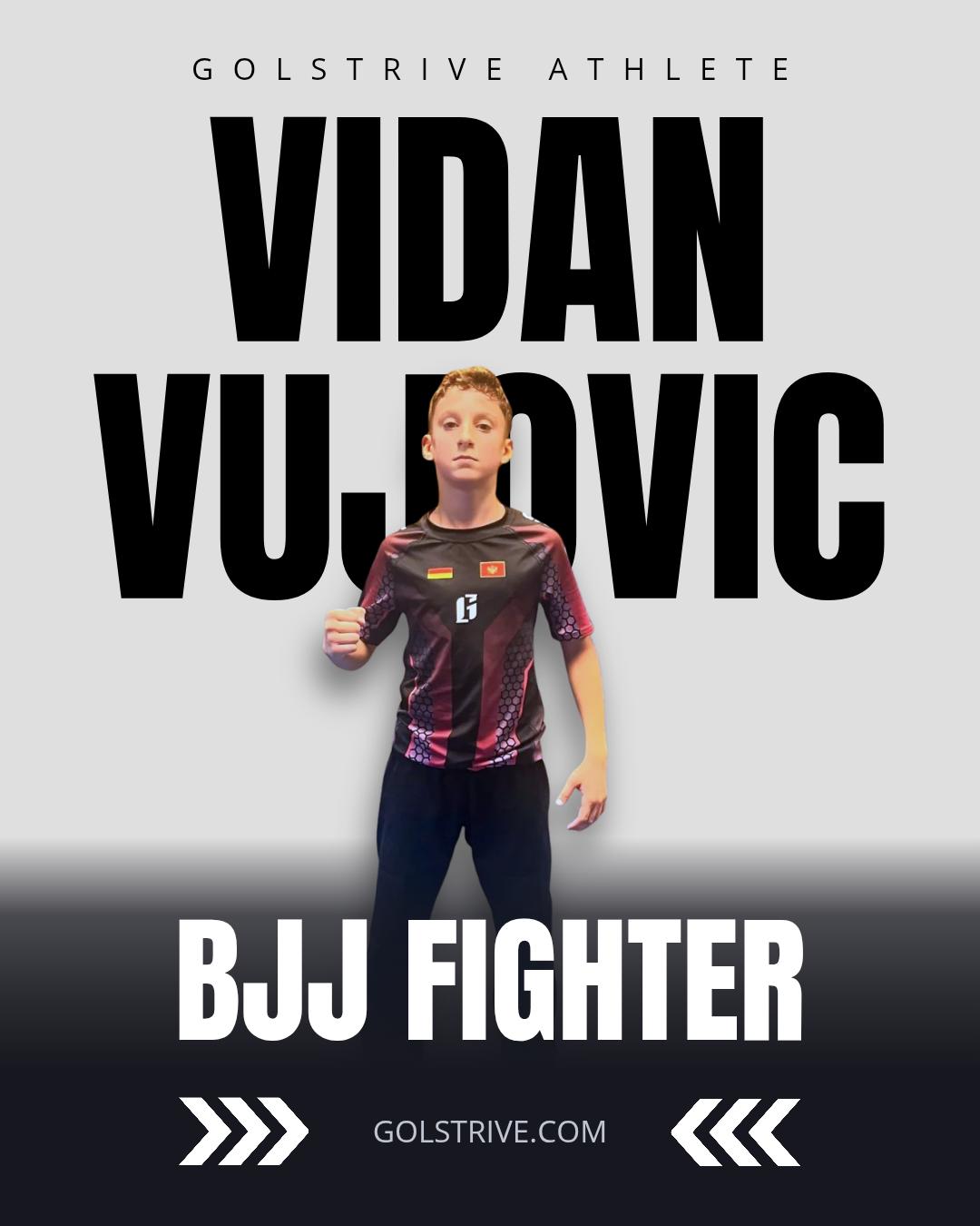 Vidan